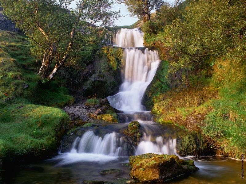 WaterFalls